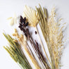 seven different dried flowers on white background