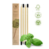 four wooden pencils that sprout into basil