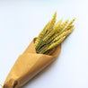 bunch of wheat wrapted in craft paper
